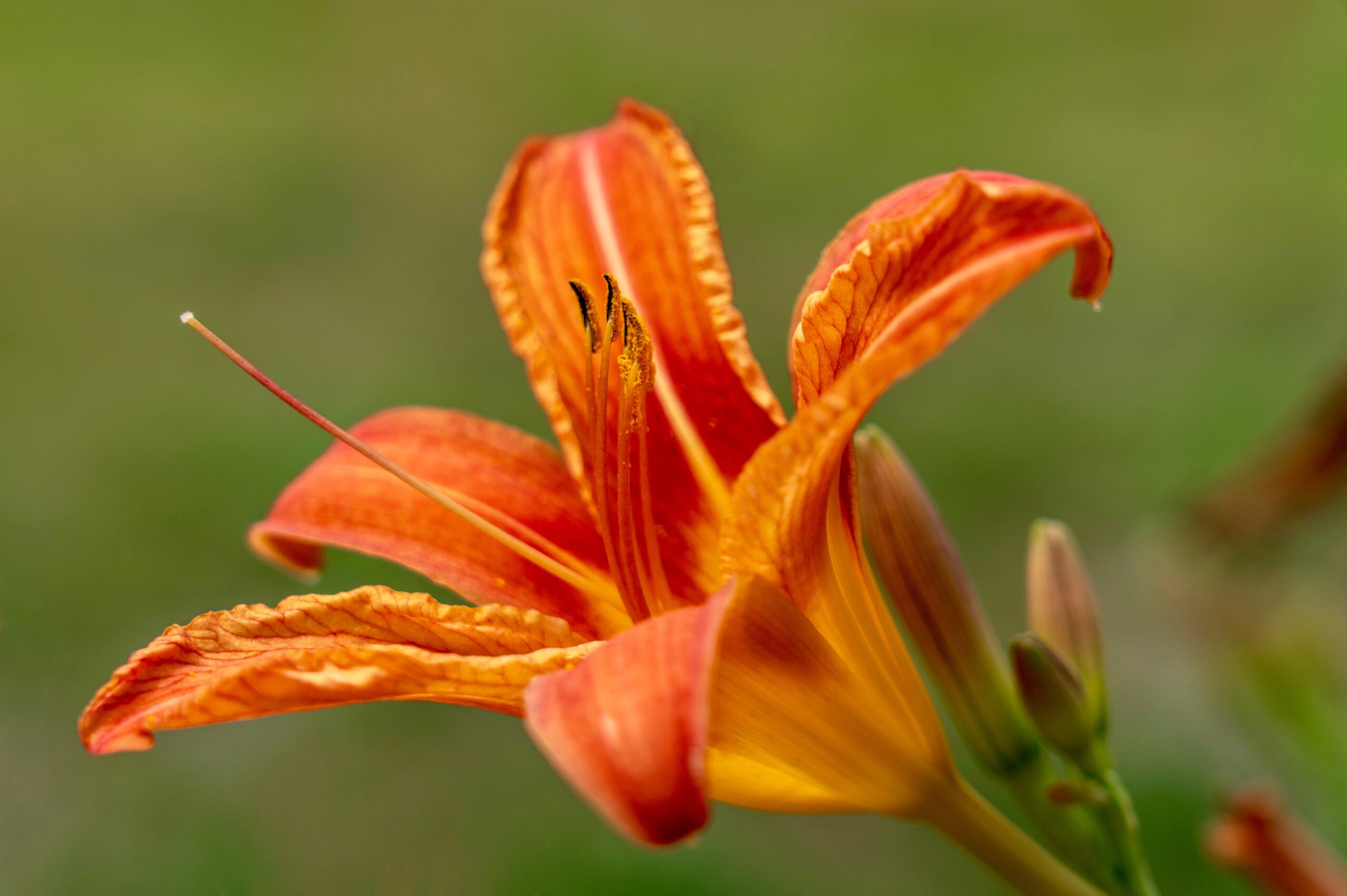 Mensaje de Díos 02/08/2023